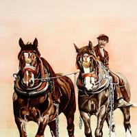 'Homeward Bound'